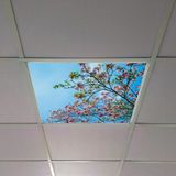 Gök Panel 60X60 LED Panel Aydınlatma Armatür Avize Sıva Altı Desenli Tekli 46510168SA - 6500K - Beyaz