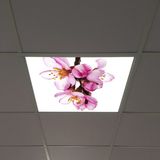 Gök Panel 60X60 LED Panel Aydınlatma Armatür Avize Sıva Altı Desenli Tekli 46510169SA - 6500K - Beyaz