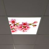 Gök Panel 60X60 LED Panel Aydınlatma Armatür Avize Sıva Altı Desenli Tekli 46510170SA - 6500K - Beyaz