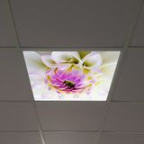 Gök Panel 60X60 LED Panel Aydınlatma Armatür Avize Sıva Altı Desenli Tekli 46510171SA - 6500K - Beyaz