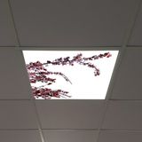 Gök Panel 60X60 LED Panel Aydınlatma Armatür Avize Sıva Altı Desenli Tekli 46510173SA - 6500K - Beyaz