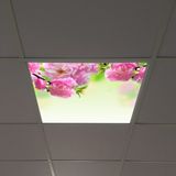 Gök Panel 60X60 LED Panel Aydınlatma Armatür Avize Sıva Altı Desenli Tekli 46510181SA - 6500K - Beyaz