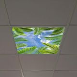 Gök Panel 60X60 LED Panel Aydınlatma Armatür Avize Sıva Altı Desenli Tekli 46510187SA - 6500K - Beyaz