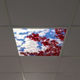 Gök Panel 60X60 LED Panel Aydınlatma Armatür Avize Sıva Altı Desenli Tekli 46510208SA - 6500K - Beyaz