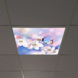 Gök Panel 60X60 LED Panel Aydınlatma Armatür Avize Sıva Altı Desenli Tekli 46510209SA - 6500K - Beyaz