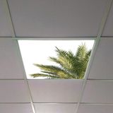 Gök Panel 60X60 LED Panel Aydınlatma Armatür Avize Sıva Altı Desenli Tekli 46510215SA - 6500K - Beyaz