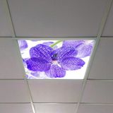 Gök Panel 60X60 LED Panel Aydınlatma Armatür Avize Sıva Altı Desenli Tekli 46510247SA - 6500K - Beyaz