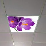 Gök Panel 60X60 LED Panel Aydınlatma Armatür Avize Sıva Altı Desenli Tekli 46510257SA - 6500K - Beyaz