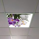 Gök Panel 60X60 LED Panel Aydınlatma Armatür Avize Sıva Altı Desenli Tekli 46510258SA - 6500K - Beyaz