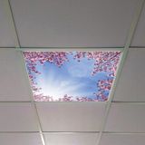 Gök Panel 60X60 LED Panel Aydınlatma Armatür Avize Sıva Altı Desenli Tekli 46510277SA - 6500K - Beyaz