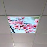 Gök Panel 60X60 LED Panel Aydınlatma Armatür Avize Sıva Altı Desenli Tekli 46510282SA - 6500K - Beyaz