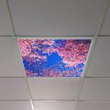 Gök Panel 60X60 LED Panel Aydınlatma Armatür Avize Sıva Altı Desenli Tekli 46510288SA - 6500K - Beyaz