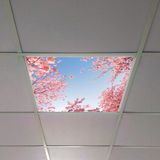 Gök Panel 60X60 LED Panel Aydınlatma Armatür Avize Sıva Altı Desenli Tekli 46510289SA - 6500K - Beyaz