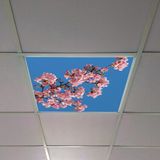 Gök Panel 60X60 LED Panel Aydınlatma Armatür Avize Sıva Altı Desenli Tekli 46510290SA - 6500K - Beyaz