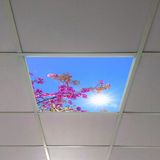 Gök Panel 60X60 LED Panel Aydınlatma Armatür Avize Sıva Altı Desenli Tekli 46510291SA - 6500K - Beyaz