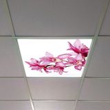 Gök Panel 60X60 LED Panel Aydınlatma Armatür Avize Sıva Altı Desenli Tekli 46510305SA - 6500K - Beyaz