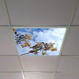 Gök Panel 60X60 LED Panel Aydınlatma Armatür Avize Sıva Altı Desenli Tekli 46510309SA - 6500K - Beyaz