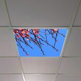 Gök Panel 60X60 LED Panel Aydınlatma Armatür Avize Sıva Altı Desenli Tekli 46510310SA - 6500K - Beyaz