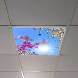 Gök Panel 60X60 LED Panel Aydınlatma Armatür Avize Sıva Altı Desenli Tekli 46510312SA - 6500K - Beyaz