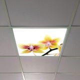 Gök Panel 60X60 LED Panel Aydınlatma Armatür Avize Sıva Altı Desenli Tekli 46510321SA - 6500K - Beyaz