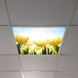 Gök Panel 60X60 LED Panel Aydınlatma Armatür Avize Sıva Altı Desenli Tekli 46510323SA - 6500K - Beyaz