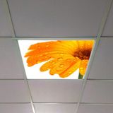 Gök Panel 60X60 LED Panel Aydınlatma Armatür Avize Sıva Altı Desenli Tekli 46510326SA - 6500K - Beyaz