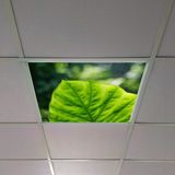 Gök Panel 60X60 LED Panel Aydınlatma Armatür Avize Sıva Altı Desenli Tekli 46510330SA - 6500K - Beyaz