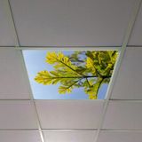 Gök Panel 60X60 LED Panel Aydınlatma Armatür Avize Sıva Altı Desenli Tekli 46510335SA - 6500K - Beyaz