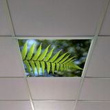 Gök Panel 60X60 LED Panel Aydınlatma Armatür Avize Sıva Altı Desenli Tekli 46510337SA - 6500K - Beyaz