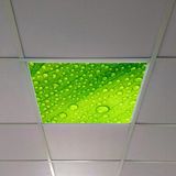 Gök Panel 60X60 LED Panel Aydınlatma Armatür Avize Sıva Altı Desenli Tekli 46510339SA - 6500K - Beyaz