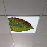 Gök Panel 60X60 LED Panel Aydınlatma Armatür Avize Sıva Altı Desenli Tekli 46510345SA - 6500K - Beyaz