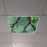 Gök Panel 60X60 LED Panel Aydınlatma Armatür Avize Sıva Altı Desenli Tekli 46510347SA - 6500K - Beyaz