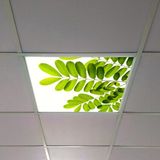 Gök Panel 60X60 LED Panel Aydınlatma Armatür Avize Sıva Altı Desenli Tekli 46510357SA - 6500K - Beyaz