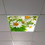 Gök Panel 60X60 LED Panel Aydınlatma Armatür Avize Sıva Altı Desenli Tekli 46510358SA - 6500K - Beyaz