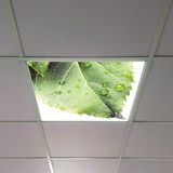Gök Panel 60X60 LED Panel Aydınlatma Armatür Avize Sıva Altı Desenli Tekli 46510362SA - 6500K - Beyaz