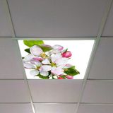 Gök Panel 60X60 LED Panel Aydınlatma Armatür Avize Sıva Altı Desenli Tekli 46510363SA - 6500K - Beyaz