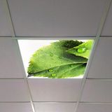 Gök Panel 60X60 LED Panel Aydınlatma Armatür Avize Sıva Altı Desenli Tekli 46510364SA - 6500K - Beyaz