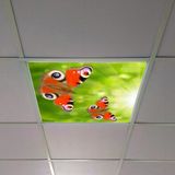 Gök Panel 60X60 LED Panel Aydınlatma Armatür Avize Sıva Altı Desenli Tekli 46510366SA - 6500K - Beyaz