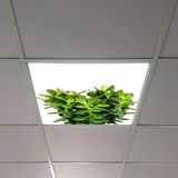 Gök Panel 60X60 LED Panel Aydınlatma Armatür Avize Sıva Altı Desenli Tekli 46510368SA - 6500K - Beyaz