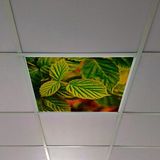 Gök Panel 60X60 LED Panel Aydınlatma Armatür Avize Sıva Altı Desenli Tekli 46510369SA - 6500K - Beyaz