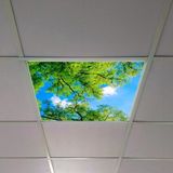 Gök Panel 60X60 LED Panel Aydınlatma Armatür Avize Sıva Altı Desenli Tekli 46510370SA - 6500K - Beyaz
