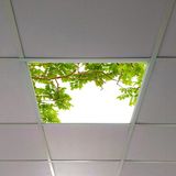 Gök Panel 60X60 LED Panel Aydınlatma Armatür Avize Sıva Altı Desenli Tekli 46510382SA - 6500K - Beyaz