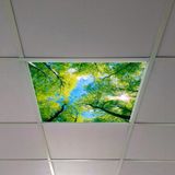 Gök Panel 60X60 LED Panel Aydınlatma Armatür Avize Sıva Altı Desenli Tekli 46510383SA - 6500K - Beyaz