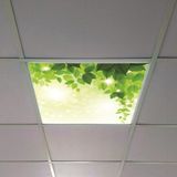 Gök Panel 60X60 LED Panel Aydınlatma Armatür Avize Sıva Altı Desenli Tekli 46510385SA - 6500K - Beyaz