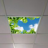 Gök Panel 60X60 LED Panel Aydınlatma Armatür Avize Sıva Altı Desenli Tekli 46510386SA - 6500K - Beyaz