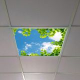 Gök Panel 60X60 LED Panel Aydınlatma Armatür Avize Sıva Altı Desenli Tekli 46510387SA - 6500K - Beyaz