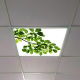 Gök Panel 60X60 LED Panel Aydınlatma Armatür Avize Sıva Altı Desenli Tekli 46510400SA - 6500K - Beyaz