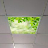 Gök Panel 60X60 LED Panel Aydınlatma Armatür Avize Sıva Altı Desenli Tekli 46510403SA - 6500K - Beyaz