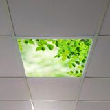 Gök Panel 60X60 LED Panel Aydınlatma Armatür Avize Sıva Altı Desenli Tekli 46510406SA - 6500K - Beyaz