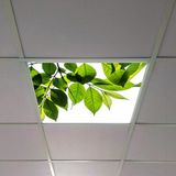 Gök Panel 60X60 LED Panel Aydınlatma Armatür Avize Sıva Altı Desenli Tekli 46510408SA - 6500K - Beyaz